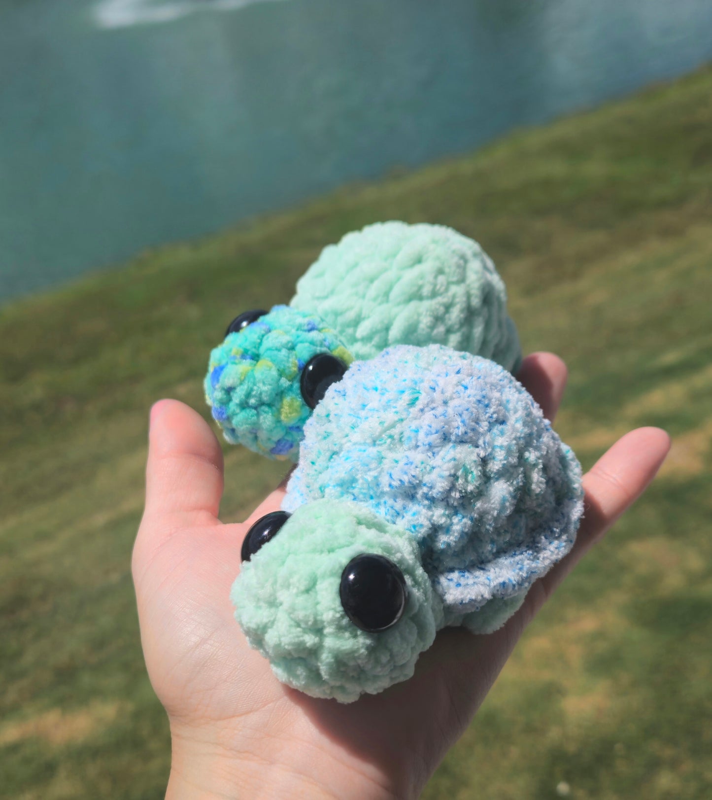 Crochet Mystery Turtles