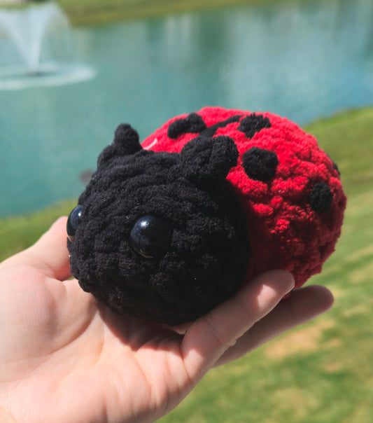 Crochet Lady Bug